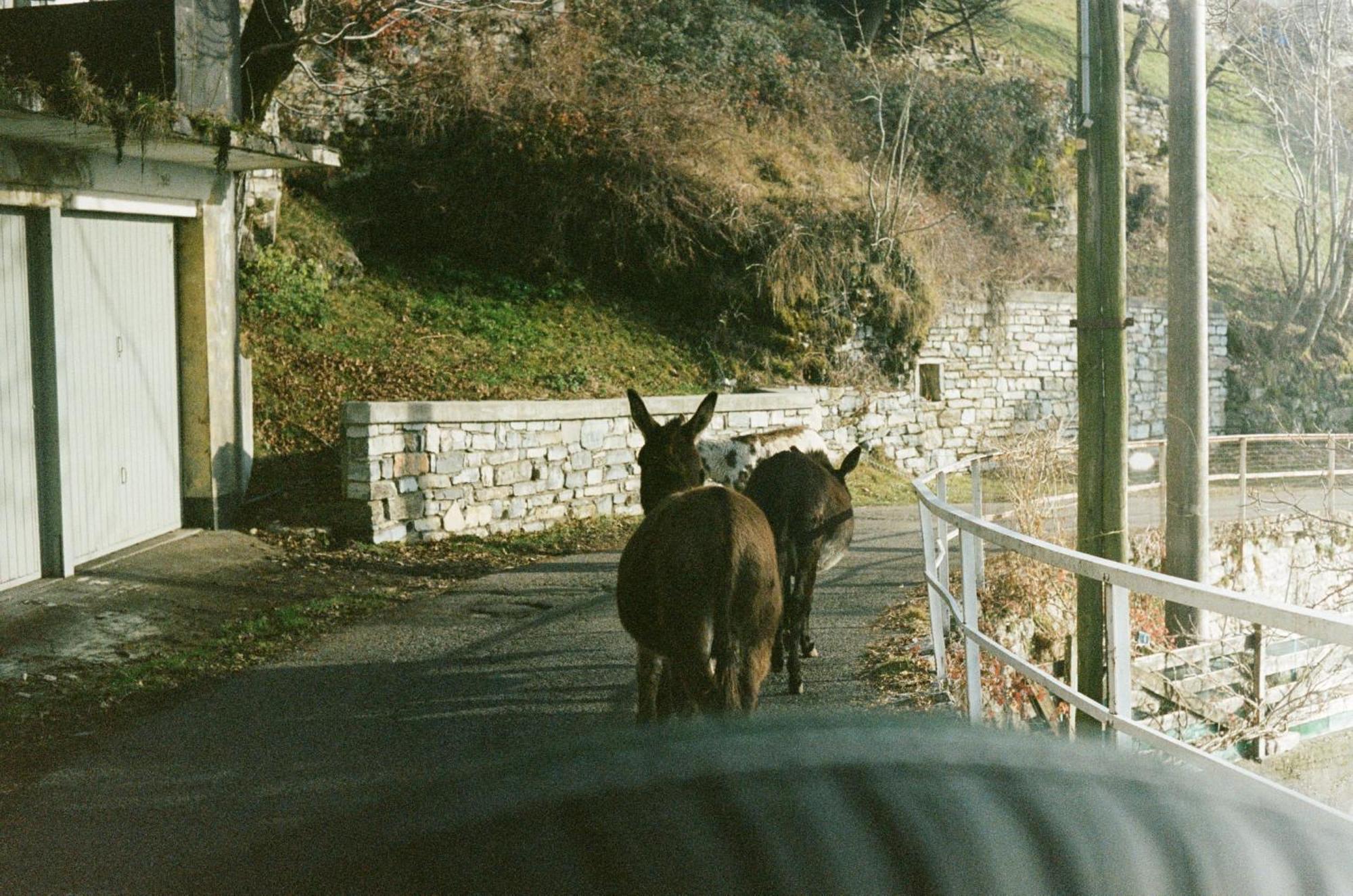 Ca' Bossi Villa Cernobbio Luaran gambar